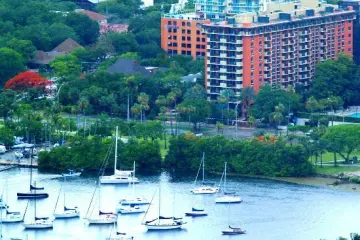 Restaurant in Monty's Coconut Grove in Miami
