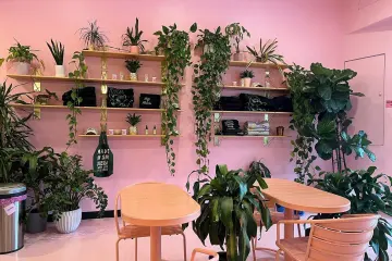 Cafe in Holy Matcha in San Diego