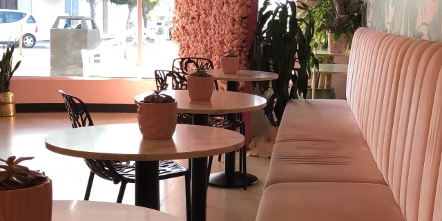 Cafe in Holy Matcha in San Diego