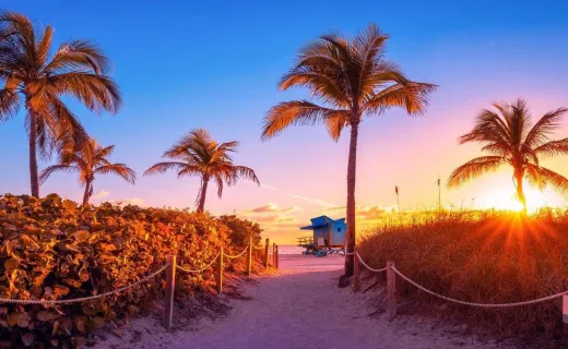 Top Attractions and Best Places to Visit in Miami: A Must-Read Travel Guide