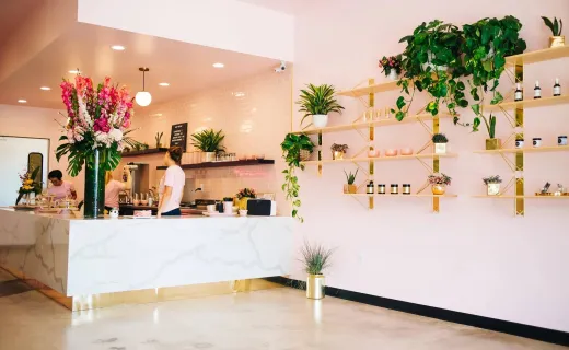Holy Matcha North Park: The Matcha Cafe That Started a Trend in California