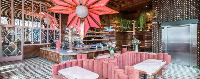 Morning Glory San Diego pink velvet interior