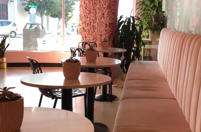 Holy Matcha in San Diego