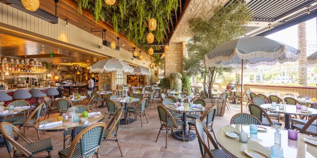 Restaurant in Lucrezia La Jolla in San Diego