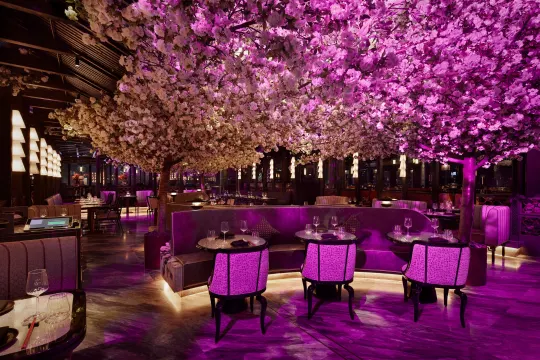 Restaurant Gordon Ramsay