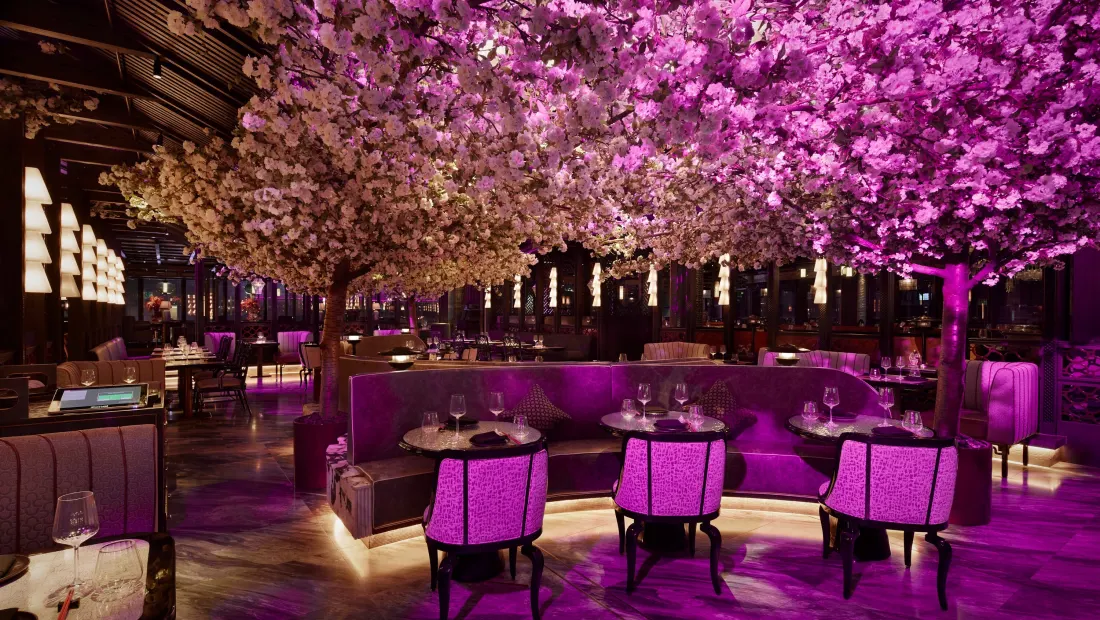 Restaurant in Restaurant Gordon Ramsay in London