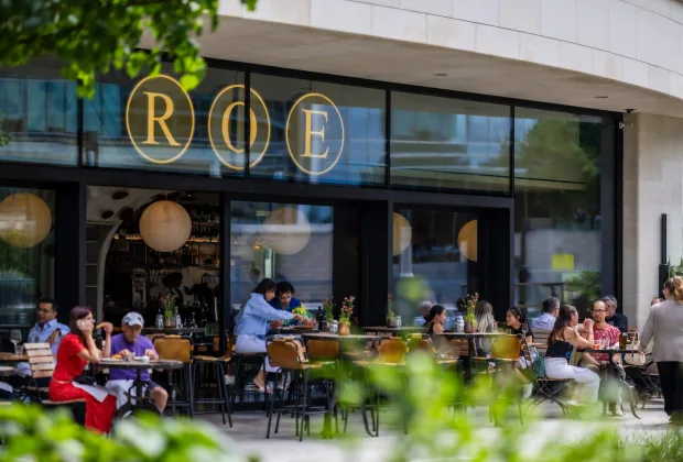 Roe in London