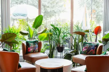 Restaurant in Chimba in Miami