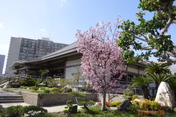 Restaurant in Sushi Gen in Los Angeles