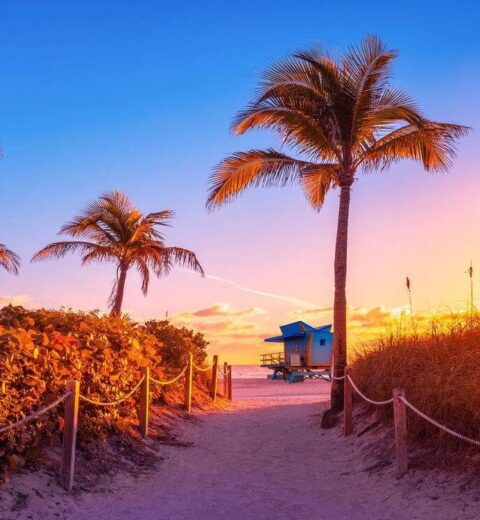 Top Attractions and Best Places to Visit in San Francisco: A Complete Travel Guide