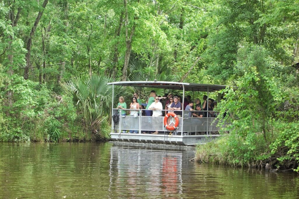 swamp tour group